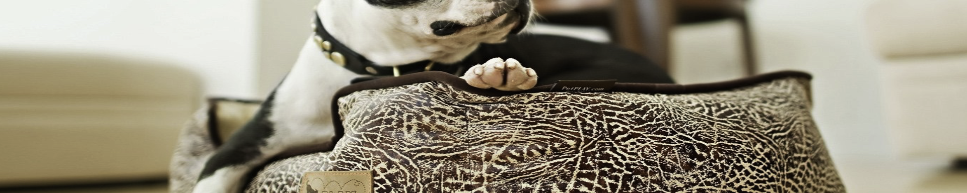 Dog Beds & Sleep Pads | GarageAndFab.com | Munro Industries gf-100103051003