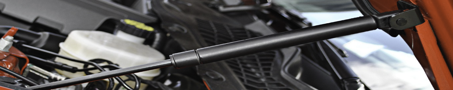Hood Shocks + Struts | GarageAndFab.com | Munro Industries gf-100103031010