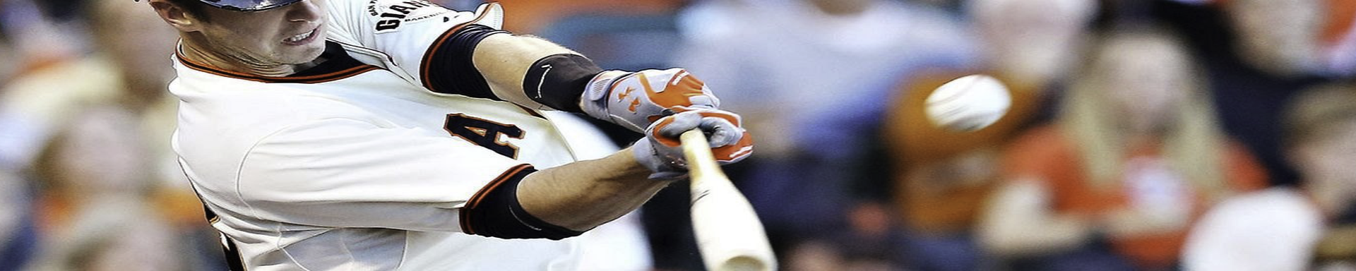 MLB Fan Shop | GarageAndFab.com | Munro Industries gf-100103090406