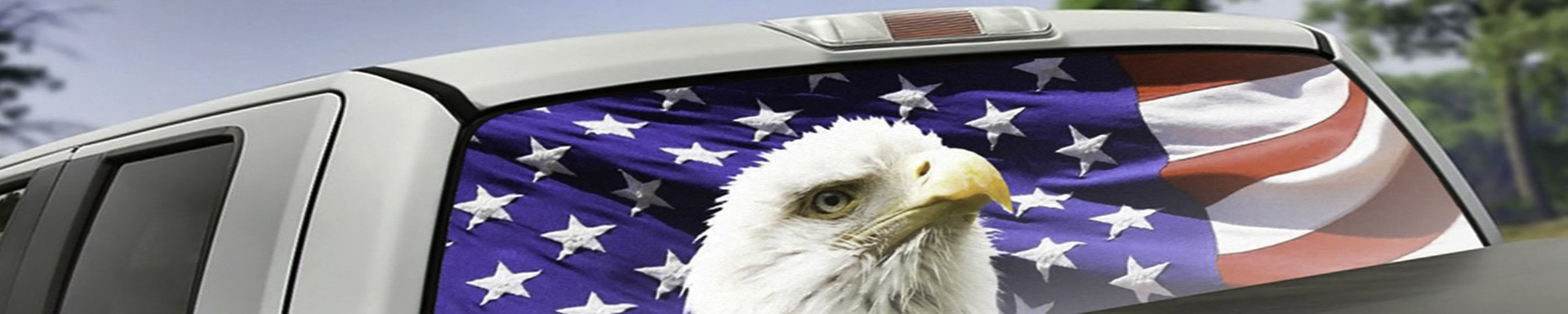 Rear Window Graphics | GarageAndFab.com | Munro Industries gf-100103040709