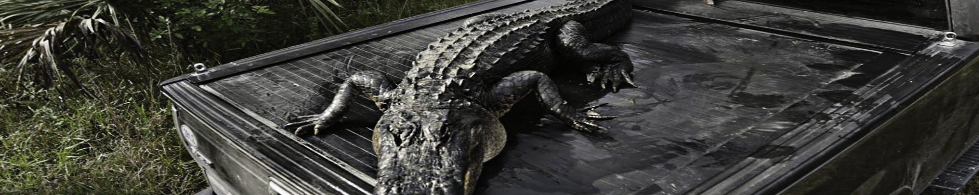 Tonneau Covers | GarageAndFab.com | Munro Industries gf-1001030434