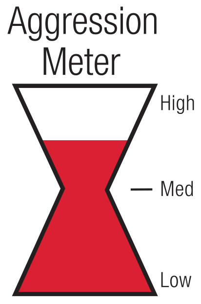 Black Widow Venom 300-series d � Offset/Offset | GarageAndFab.com