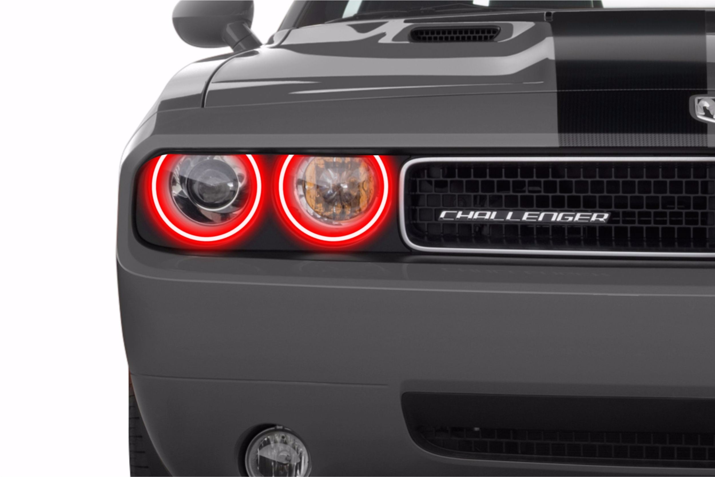Dodge Challenger w/ OEM HID (08-14): Profile Prism Fitted Halos (Kit) EDC01085 | GarageAndFab.com