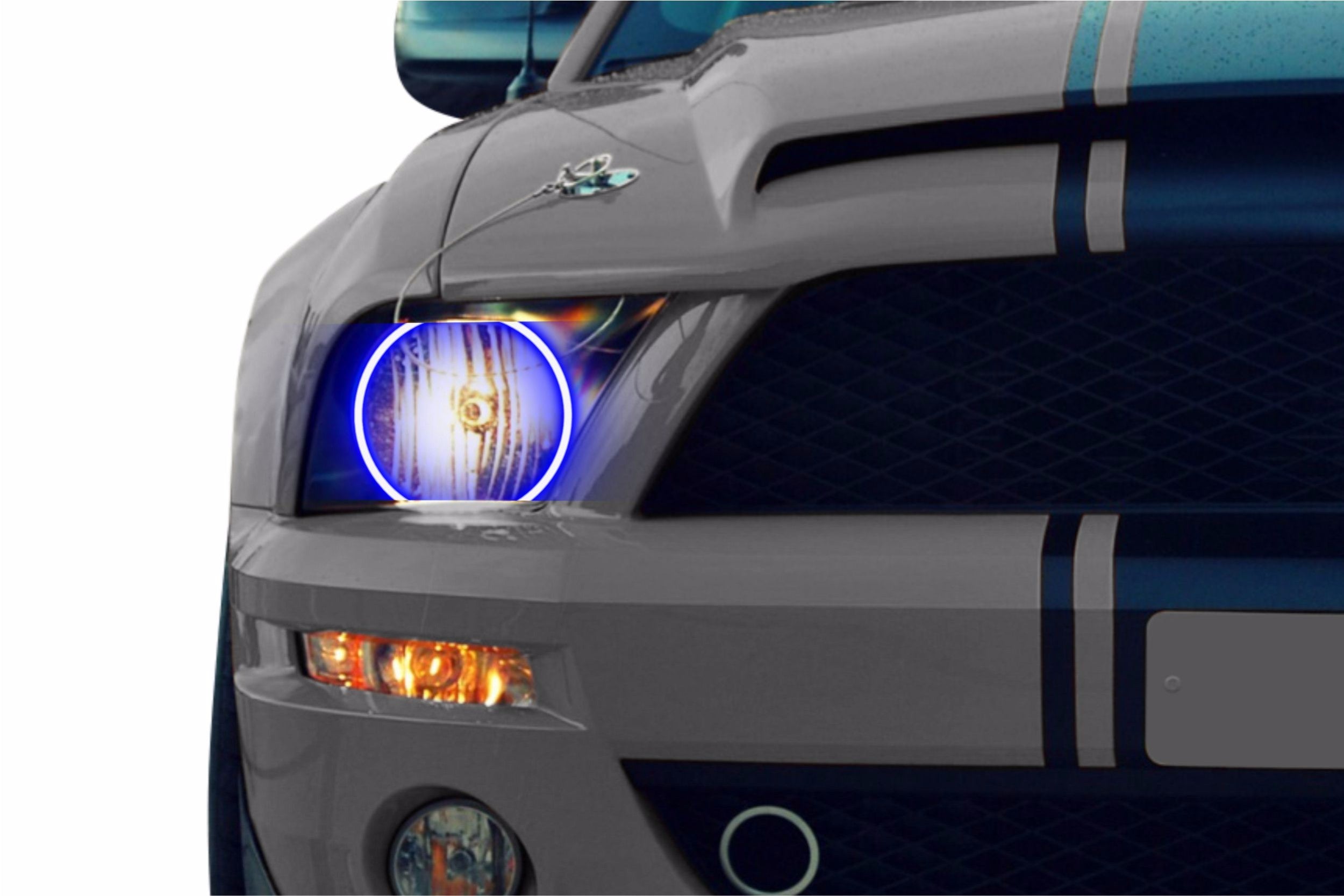 Ford Mustang (05-09): Profile Prism Fitted Halos (Kit) EDC01113 | GarageAndFab.com