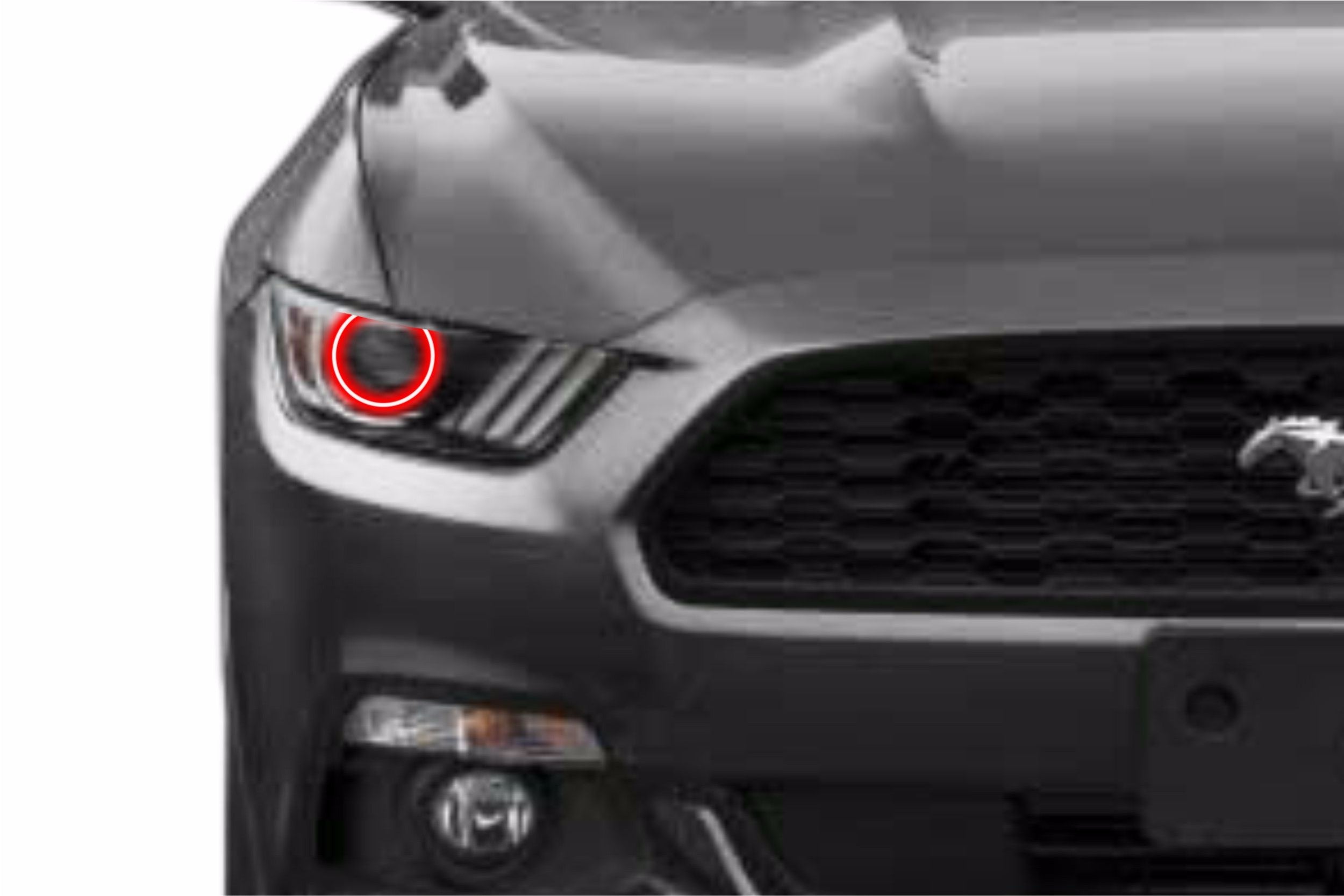 Ford Mustang (15-17): Profile Prism Fitted Halos (Kit) EDC01132 | GarageAndFab.com
