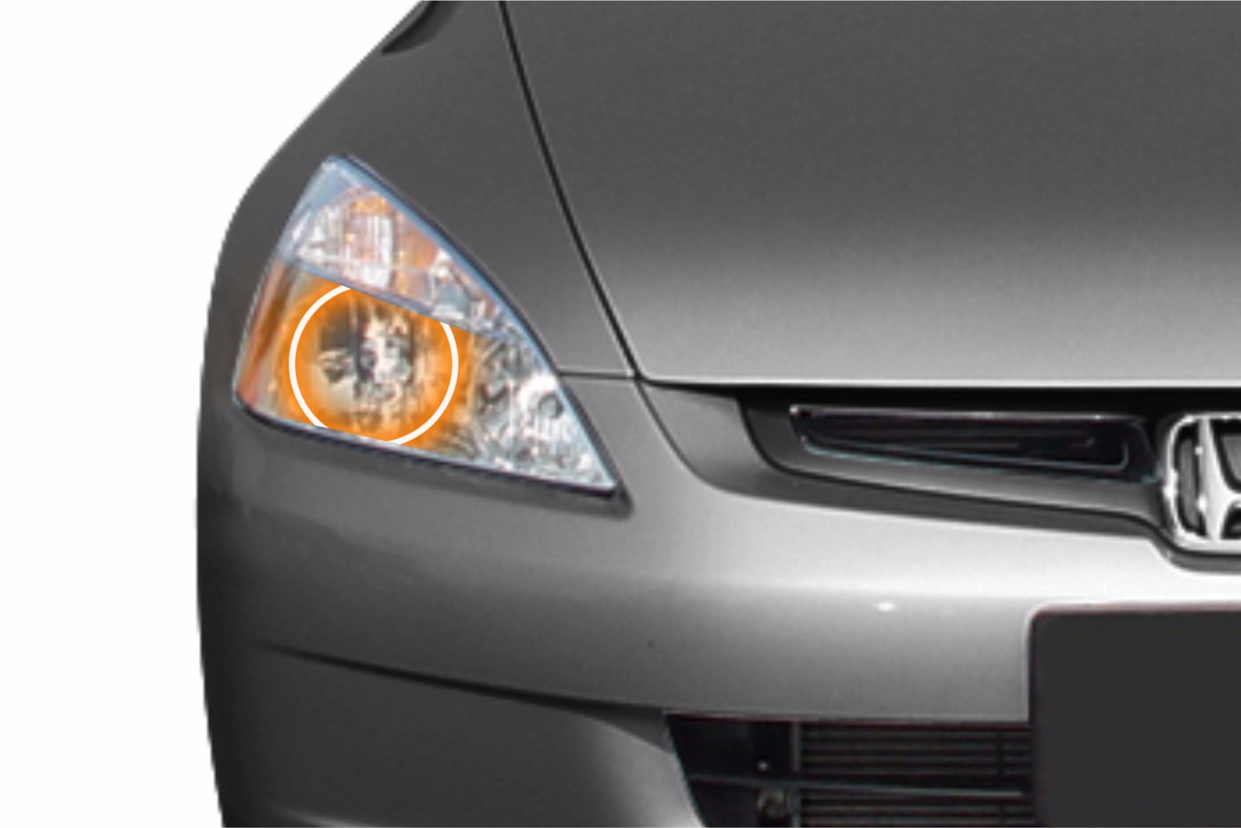 Honda Accord (03-07): Profile Prism Fitted Halos (Kit) EDC01157 | GarageAndFab.com