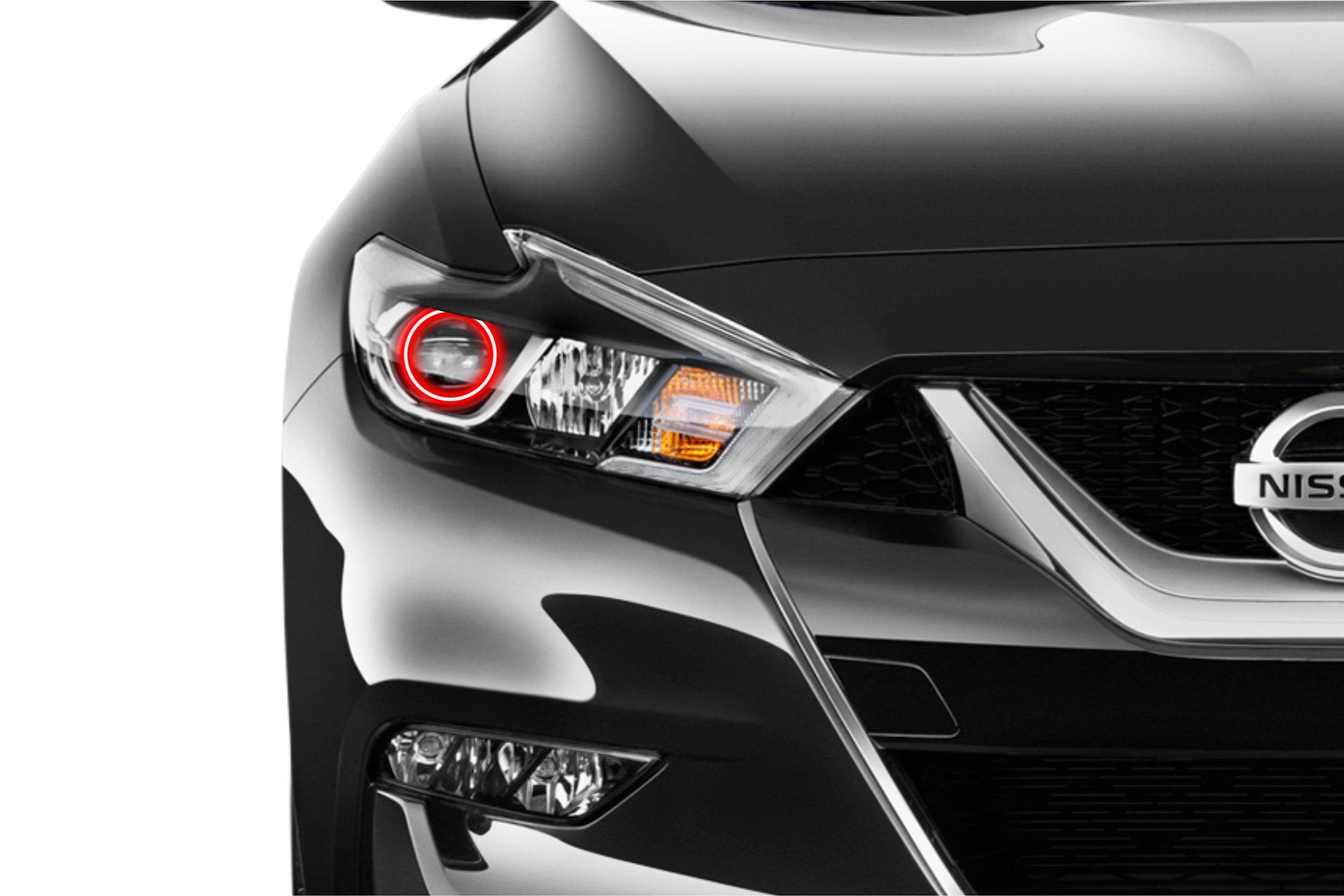 Nissan Maxima (15-17): Profile Prism Fitted Halos (Kit) EDC01328 | GarageAndFab.com