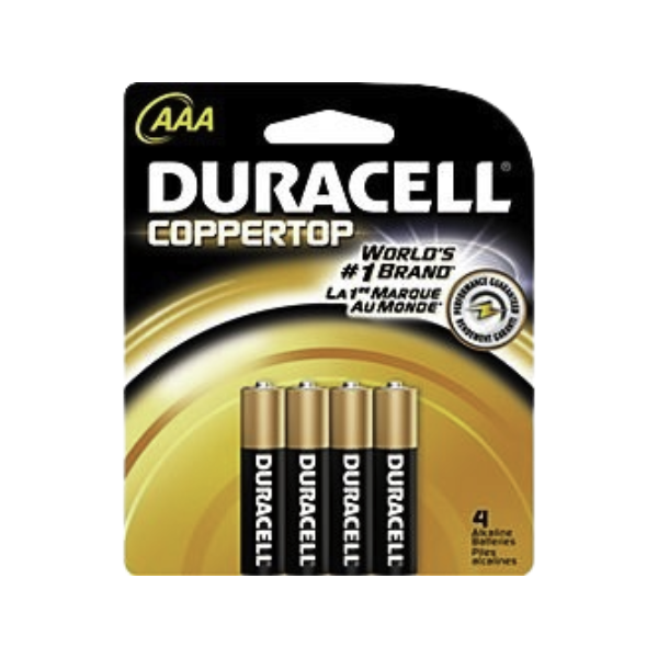 Interstate Battery DRY0096 AAA Front | GarageAndFab.com 600x600