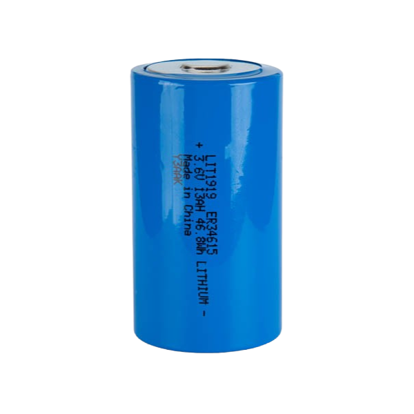 Interstate Battery LIT1919 Front | GarageAndFab.com 