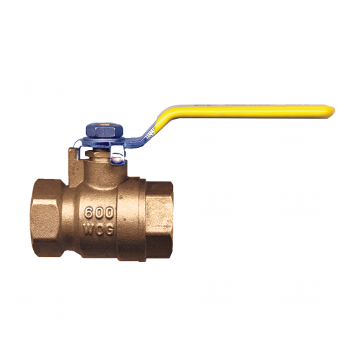 Fairview Ball Valve;1-1/4 FPT;Full Port;SS HNeedle FVF-BV4103-J-SSH ...